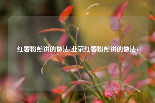 红薯粉煎饼的做法(韭菜红薯粉煎饼的做法)