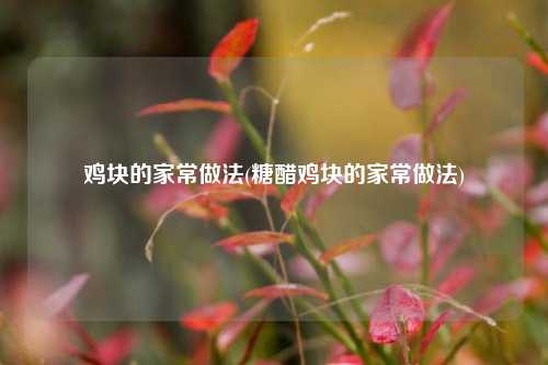 鸡块的家常做法(糖醋鸡块的家常做法)