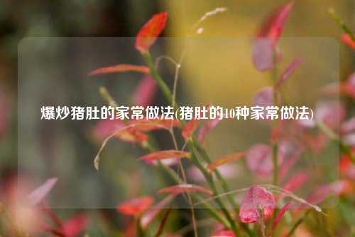 爆炒猪肚的家常做法(猪肚的10种家常做法)