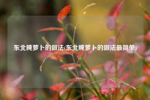 东北腌萝卜的做法(东北腌萝卜的做法最简单)