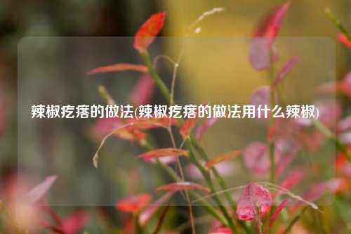 辣椒疙瘩的做法(辣椒疙瘩的做法用什么辣椒)