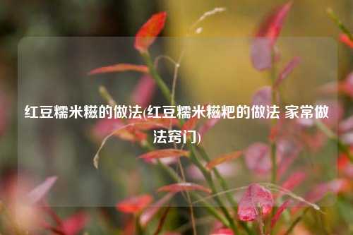 红豆糯米糍的做法(红豆糯米糍粑的做法 家常做法窍门)