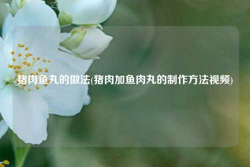 猪肉鱼丸的做法(猪肉加鱼肉丸的制作方法视频)