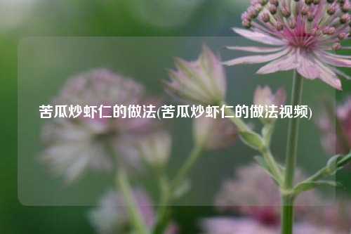 苦瓜炒虾仁的做法(苦瓜炒虾仁的做法视频)