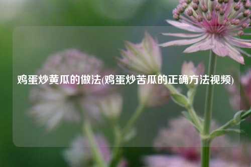 鸡蛋炒黄瓜的做法(鸡蛋炒苦瓜的正确方法视频)