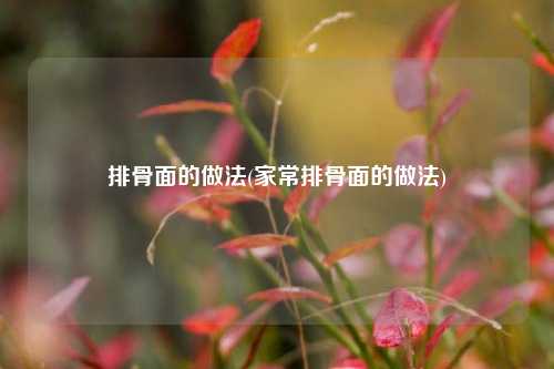排骨面的做法(家常排骨面的做法)