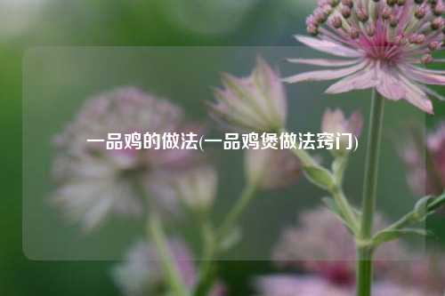 一品鸡的做法(一品鸡煲做法窍门)