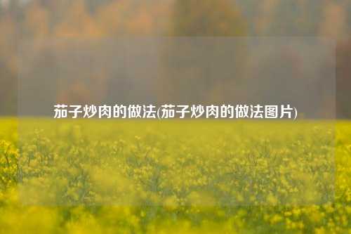 茄子炒肉的做法(茄子炒肉的做法图片)