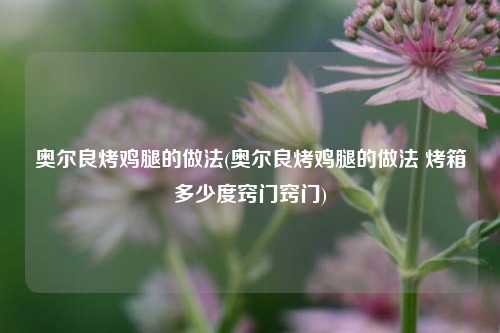 奥尔良烤鸡腿的做法(奥尔良烤鸡腿的做法 烤箱多少度窍门窍门)
