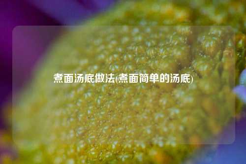煮面汤底做法(煮面简单的汤底)
