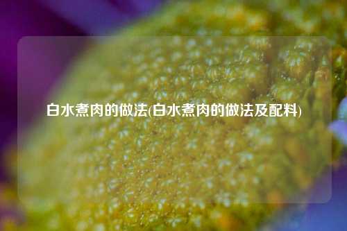 白水煮肉的做法(白水煮肉的做法及配料)