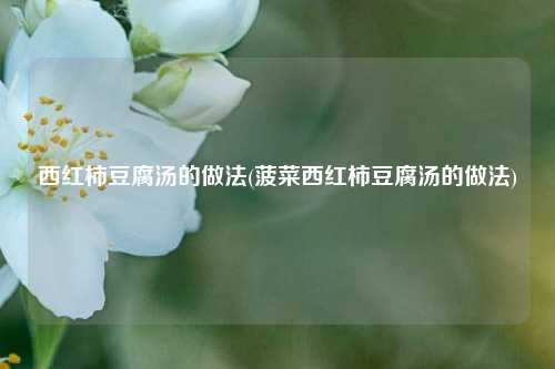 西红柿豆腐汤的做法(菠菜西红柿豆腐汤的做法)