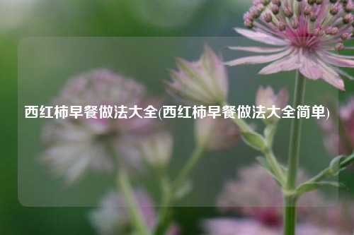 西红柿早餐做法大全(西红柿早餐做法大全简单)