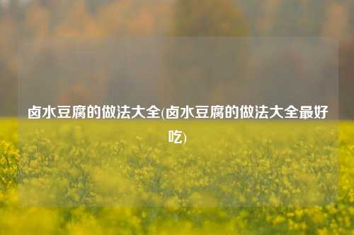 卤水豆腐的做法大全(卤水豆腐的做法大全最好吃)