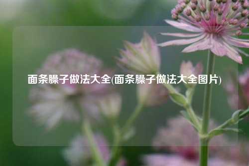 面条臊子做法大全(面条臊子做法大全图片)